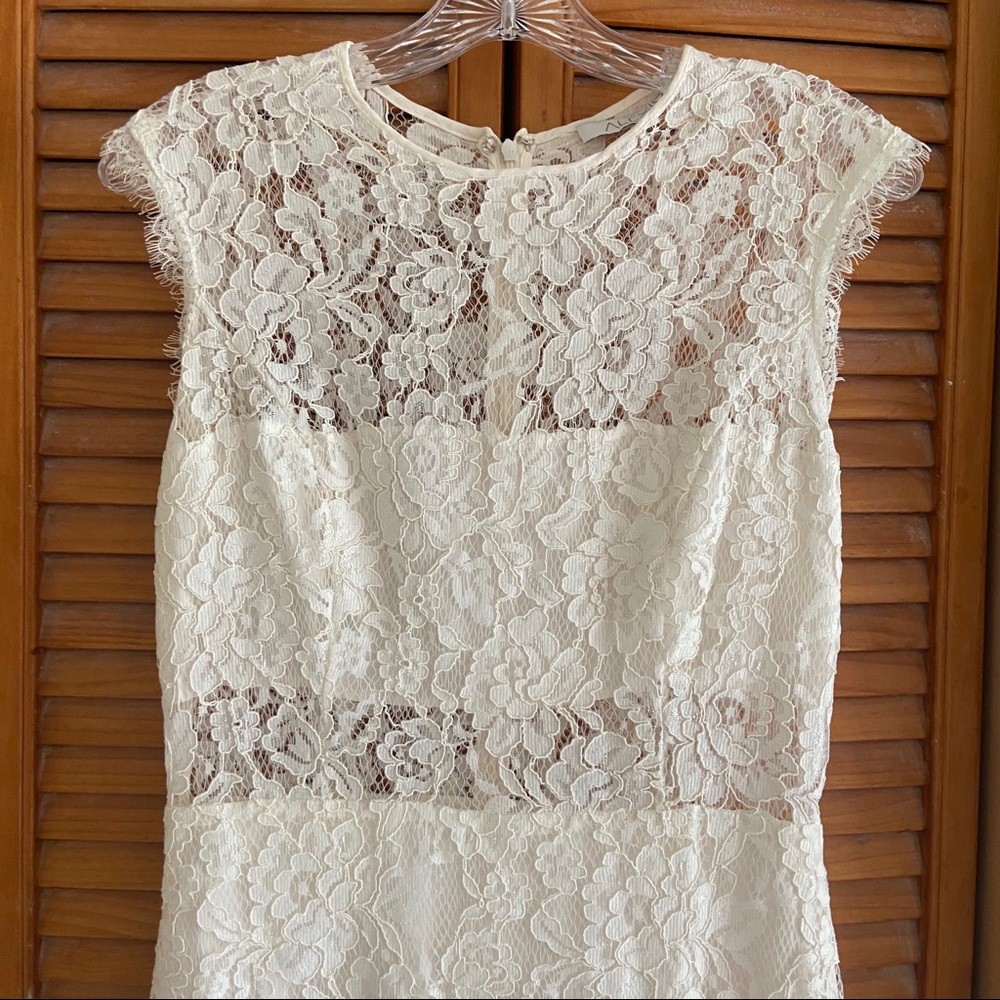 Alexis Leni White Lace Panel Midi Dress - Picture 5 of 12
